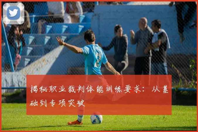 揭秘职业裁判体能训练要求:从基础到专项突破