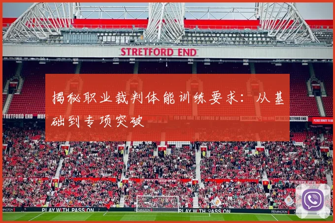 揭秘职业裁判体能训练要求：从基础到专项突破